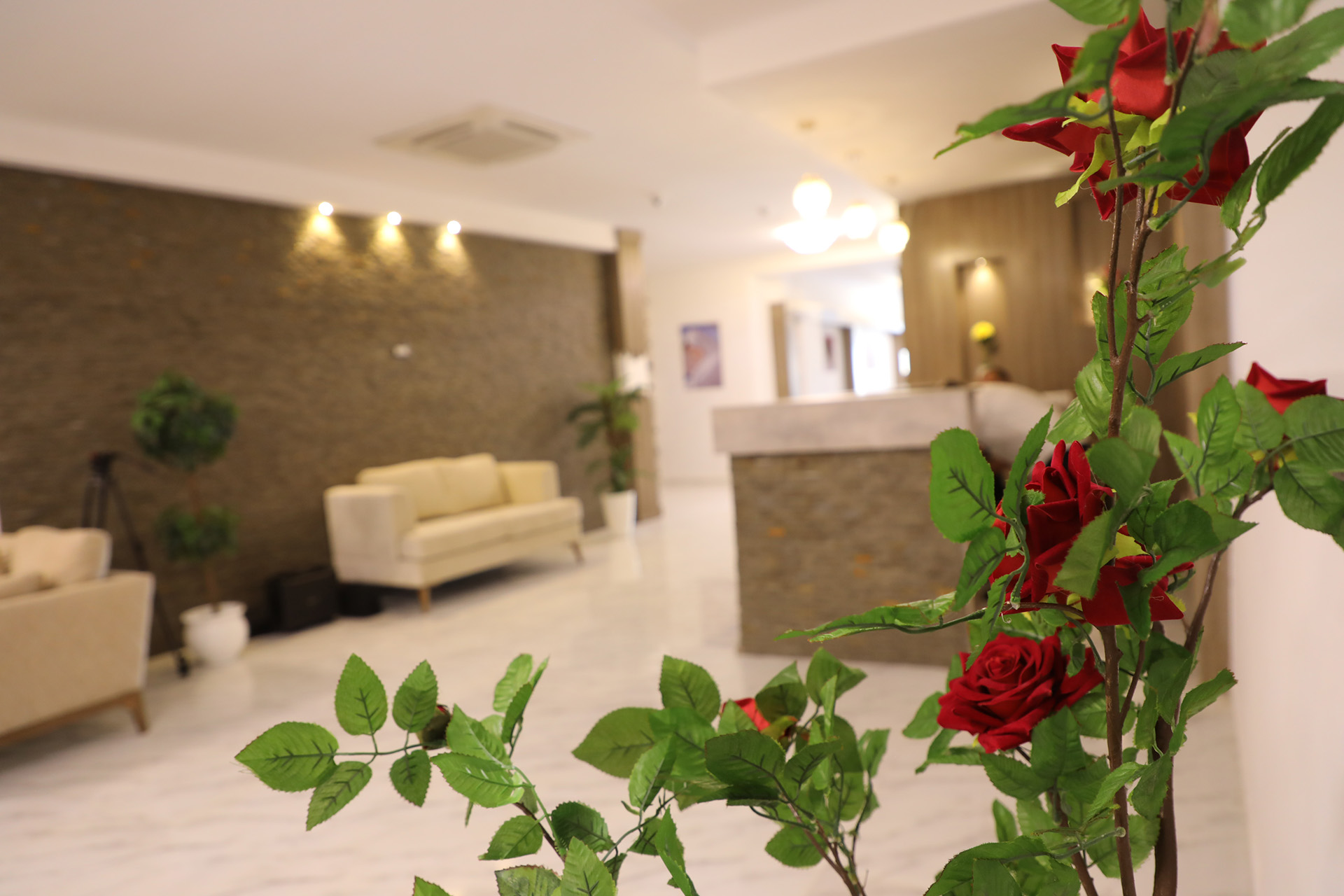 Hotel Mizwar